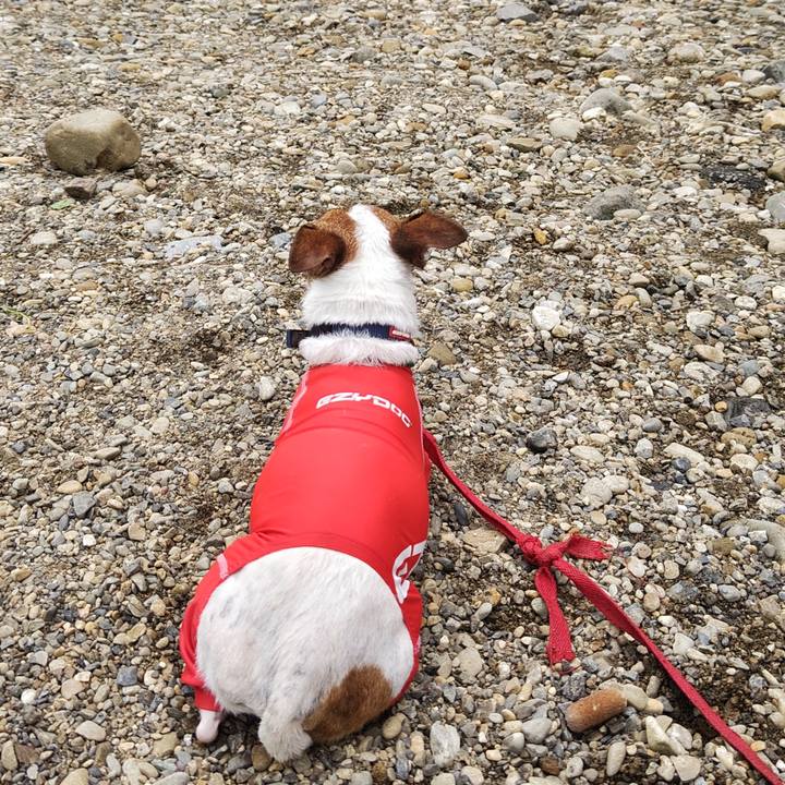 Be589c97 9456 45a8 a957 7d10fdbc0a81 1757910544999