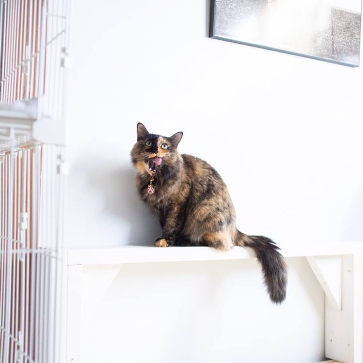 Be589f64 7bde 4415 97b3 d9dba5f1cb2c 1581820927335