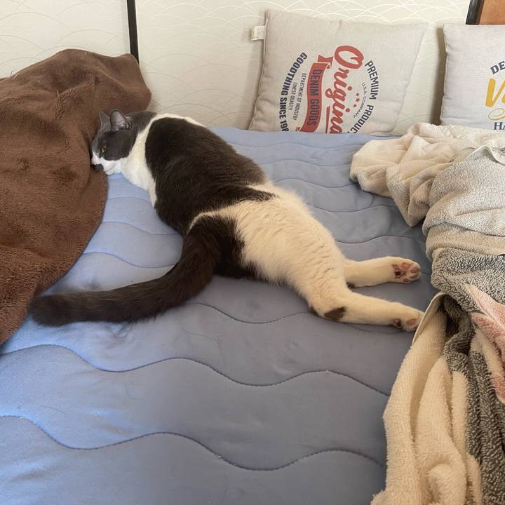 Be58a4fe 7775 4cc2 872b 0eed941776a3 1662778264042