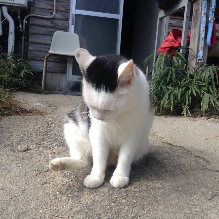 Be58c624 064b 44b8 8041 38930c22cbf6 1541204803477