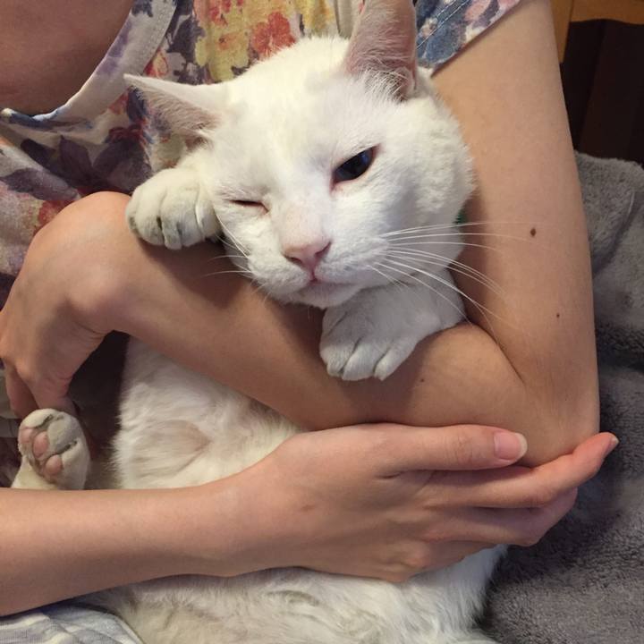 Be58cba8 609a 442e 8337 6acd8234ff63 1555626440286