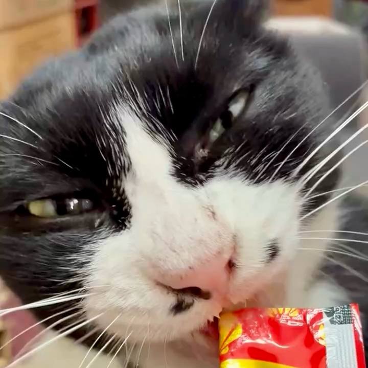 Be58e46e 392f 4042 8f4f d9709e680d37 1762135518997