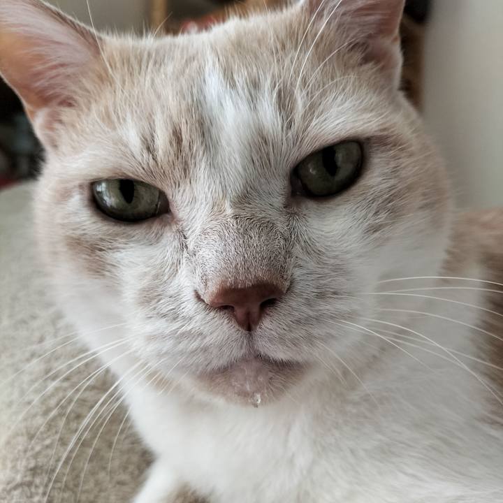 Be591cde 9280 4d68 a520 d7935b7745f3 1633818231301