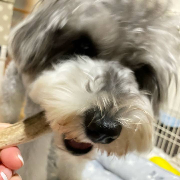 Be596279 f8d9 465a a462 aca38f9f206c 1623516133107