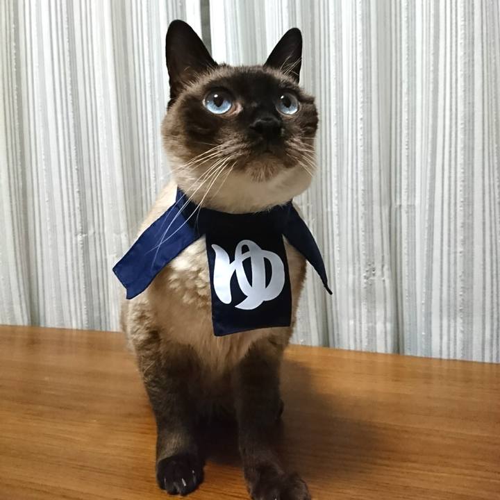 Be597b26 ccb9 4993 92fc 433d27a70151 1576972802044