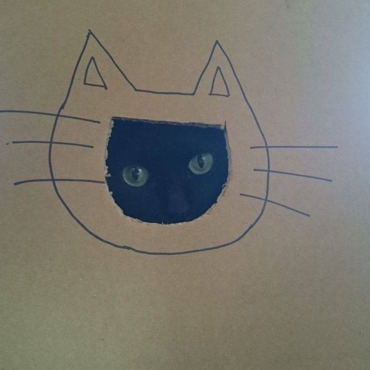 Be59cd67 0555 4a00 80a4 6b7763f16a6e 1601690482176