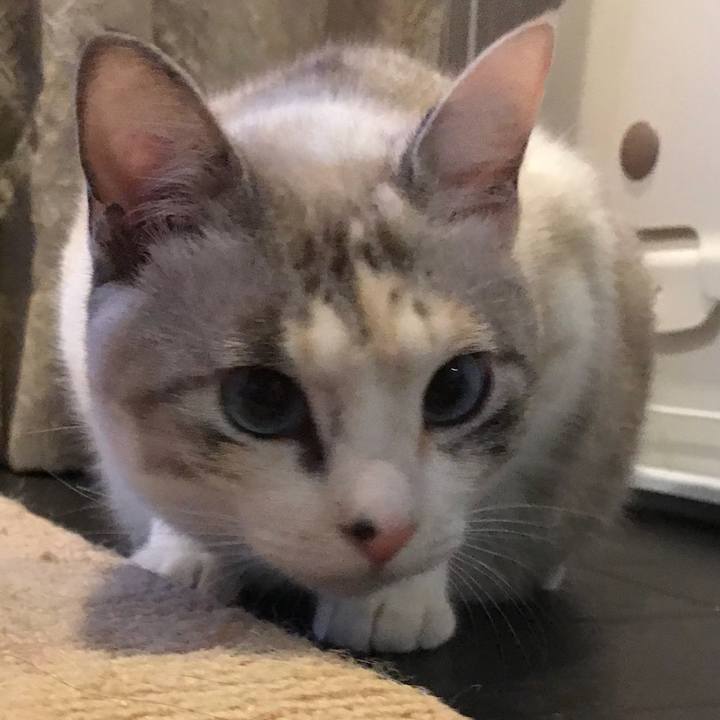 Be59d46e 9408 43f0 88a6 34a1e8cf2fde 1513252202842