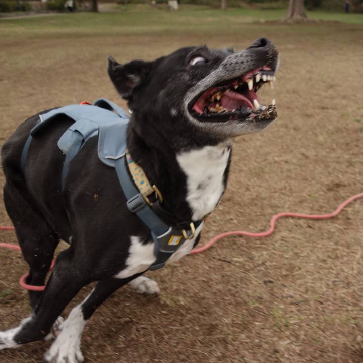 Be59e0ec d0c2 4c2c a3ee f01c668791dc 1742778147251