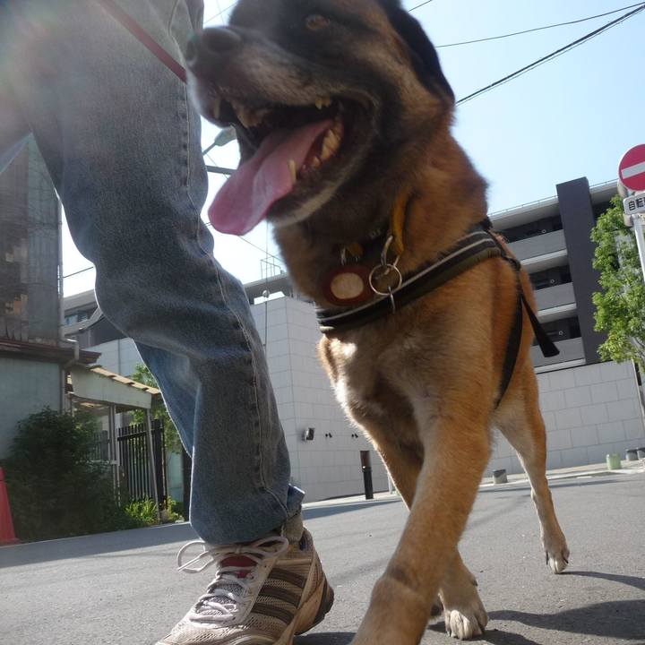 Be59e188 2480 4646 a939 6e88ca87ebe7 1577405305424