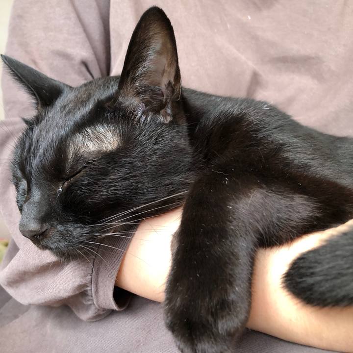 Be59fb3e ad8b 4e6b 9cfa de54696fd99c 1722724135140