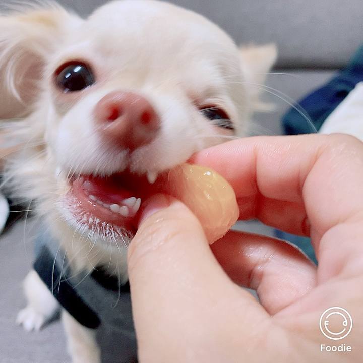 Be5a1c44 9cc9 4881 b9eb 52436d1288cb 1603962775898