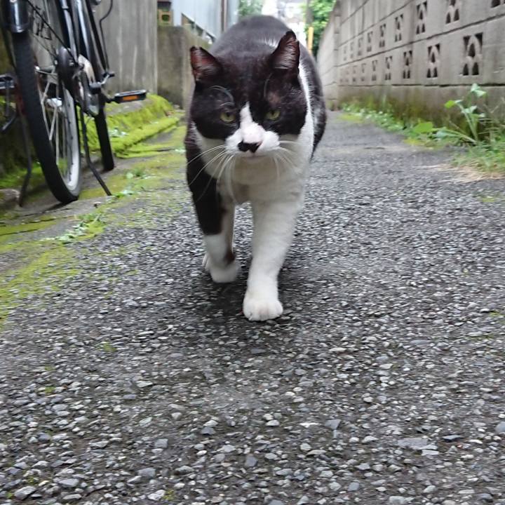 Be5a2c15 4447 42be 9b95 0846b89ed94a 1631432268470