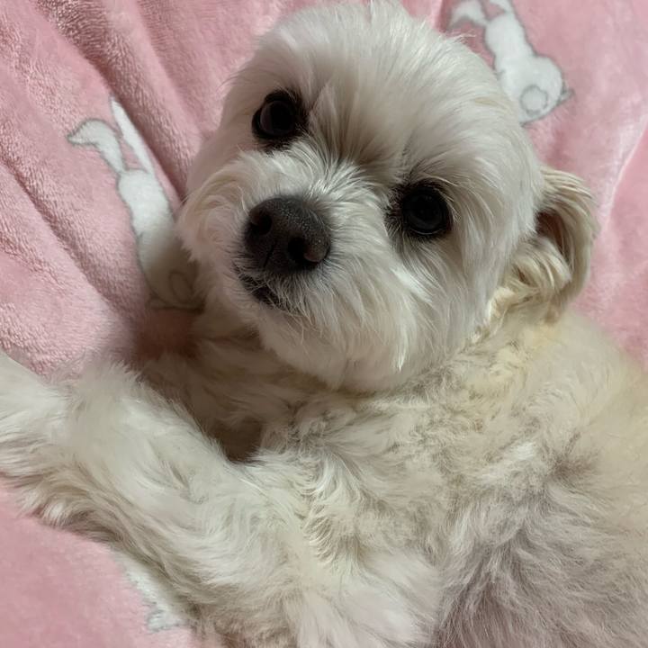 Be5a527b 9ed4 4584 82b8 e3c37021740d 1616410605076