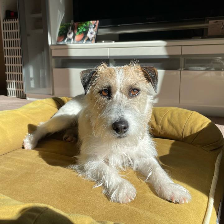 Be5a760f 6461 4b04 ae75 a0747614ad16 1674882923858