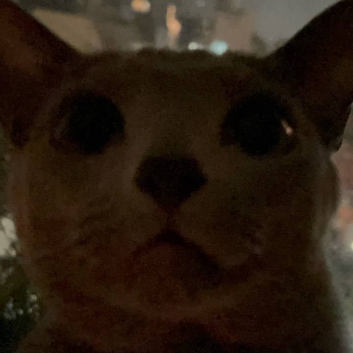 Be5a8c6e 97d5 47ba 8f91 c14045ccd155 1737637184530