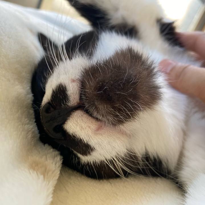 Be5a9f13 db33 475e b20f 077e115a3bc5 1676064034159