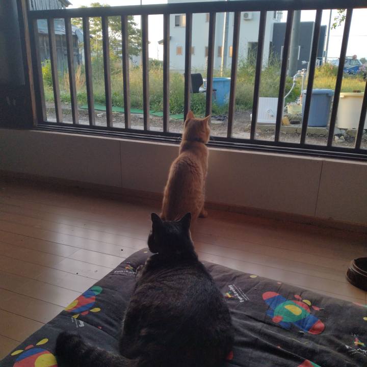 Be5aaabf 523d 49ab b240 c8e0a7970d12 1663457508203