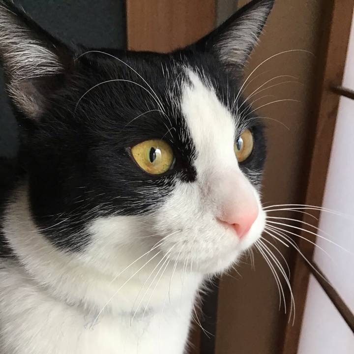 Be5aeb55 058b 44d8 8fb6 05c7bd81ed30 1644910221655