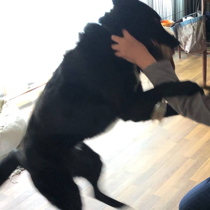 Be5b8e00 f916 4898 8bdf b145625161e3 1652572279241
