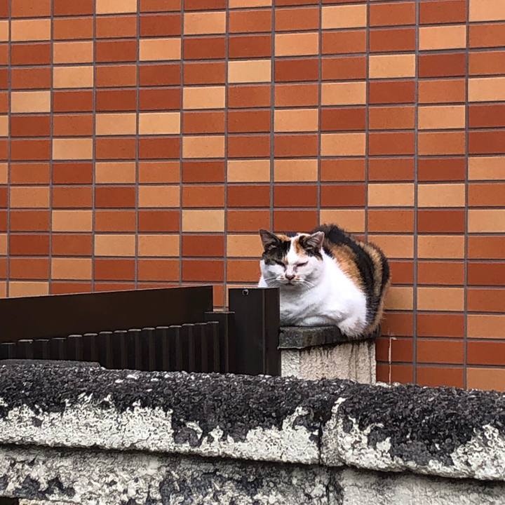 Be5b93ca 958a 45aa bffb 0533605cb90a 1638013116930