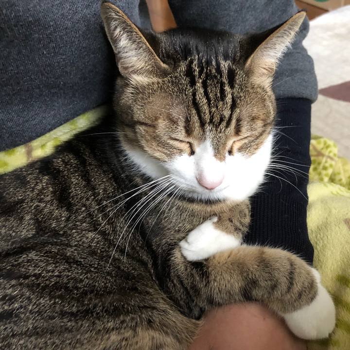 Be5baeab 2d80 42e4 90a1 ea2fbfd669dd 1636595173543