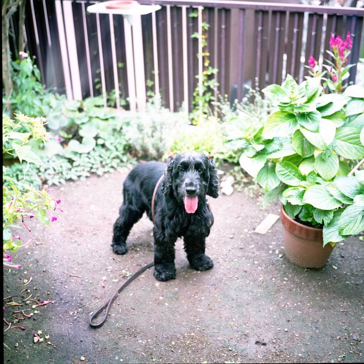 Be5baead 4fdf 427c 8f5d 15b6195be5d1 1543662598896