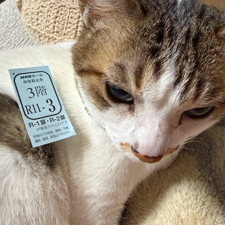 Be5beb80 eee9 49c9 a02f 05150db7ded5 1773960560700