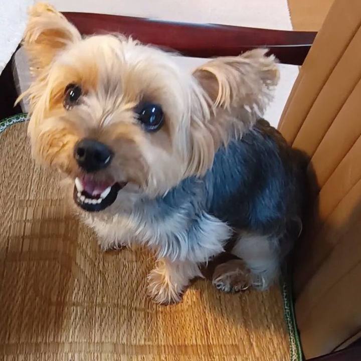 Be5c3ca6 ded0 4d7a 9771 bbdde4bfa2e1 1721784051841