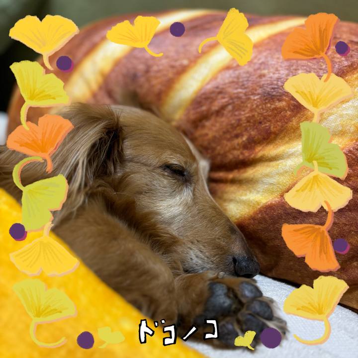 Be5c5eea 93d1 44da a1db 4ea88f3fdeda 1730289783246