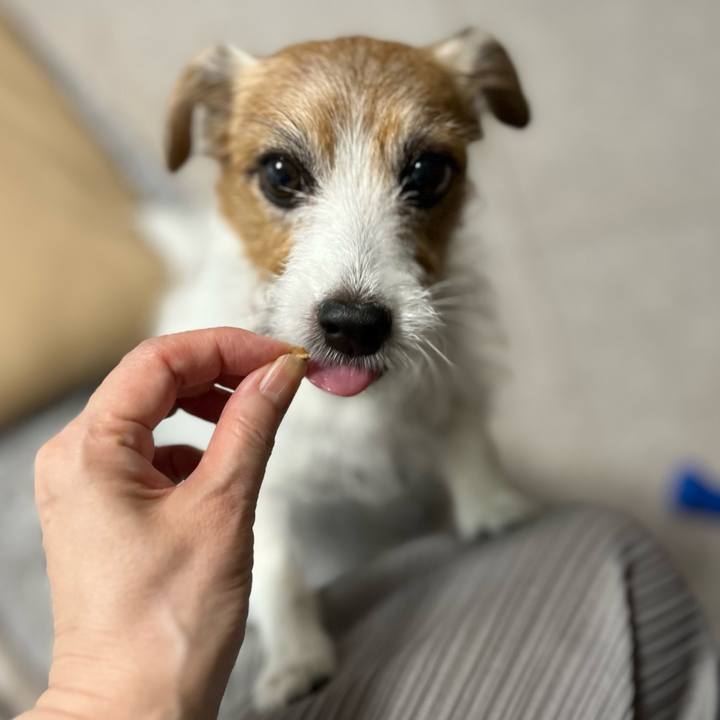 Be5cbb34 1891 4af5 8eb5 eca75df4821b 1699311124211