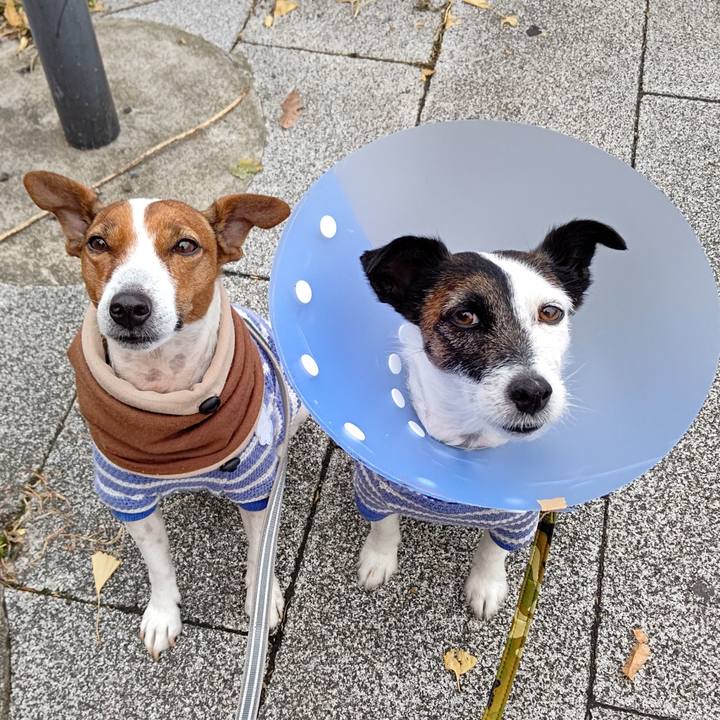 Be5cc00e e9c2 41b0 91fc b1fd6145c8b9 1669420136544