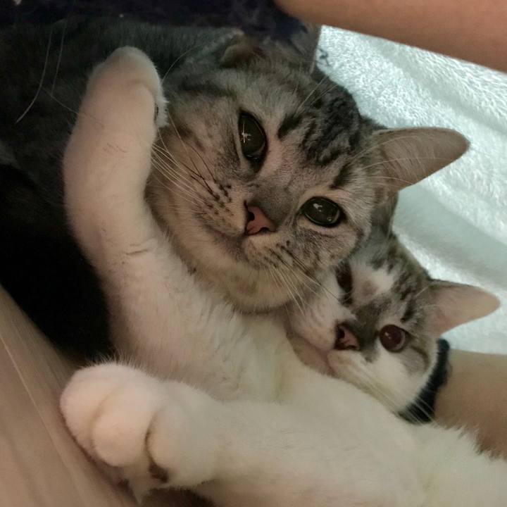 Be5cde47 b062 495c 94ed 1f051964e83e 1513506733729