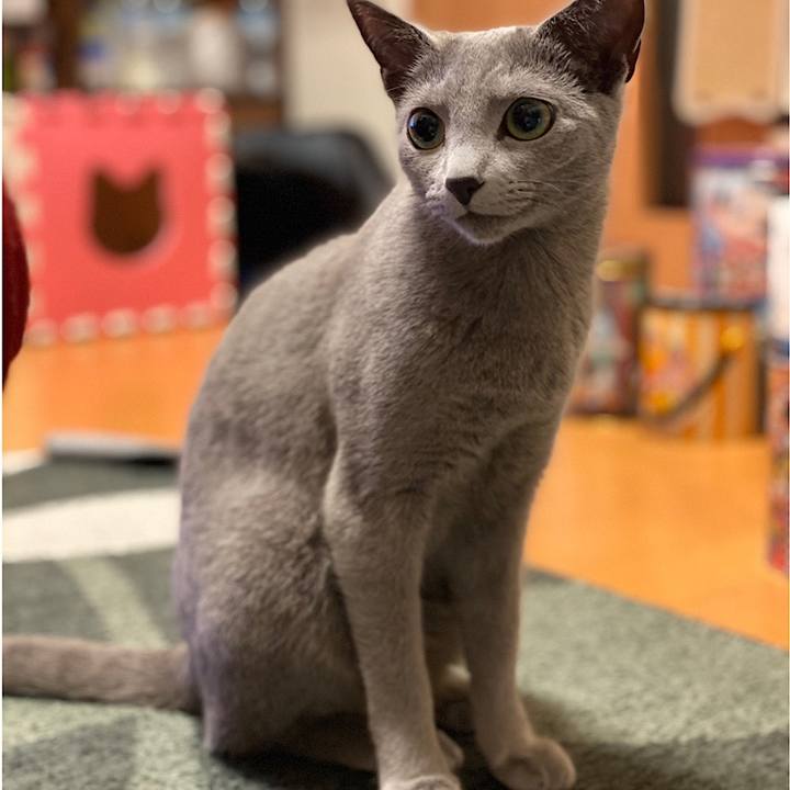 Be5ce1ef 68f4 4f39 9f94 917a0037b846 1619534195979