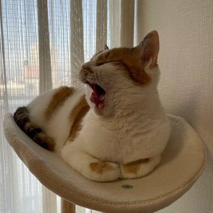 Be5cee22 dfd6 48d0 b246 6455b6803159 1611620210698