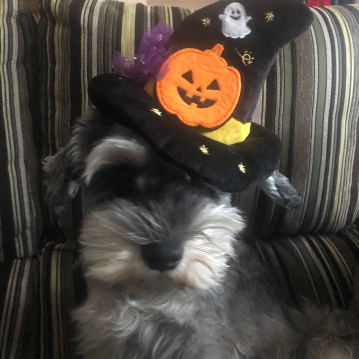 Be5d043c 5fc0 4a73 8d8c a85f8669498e 1572043714605