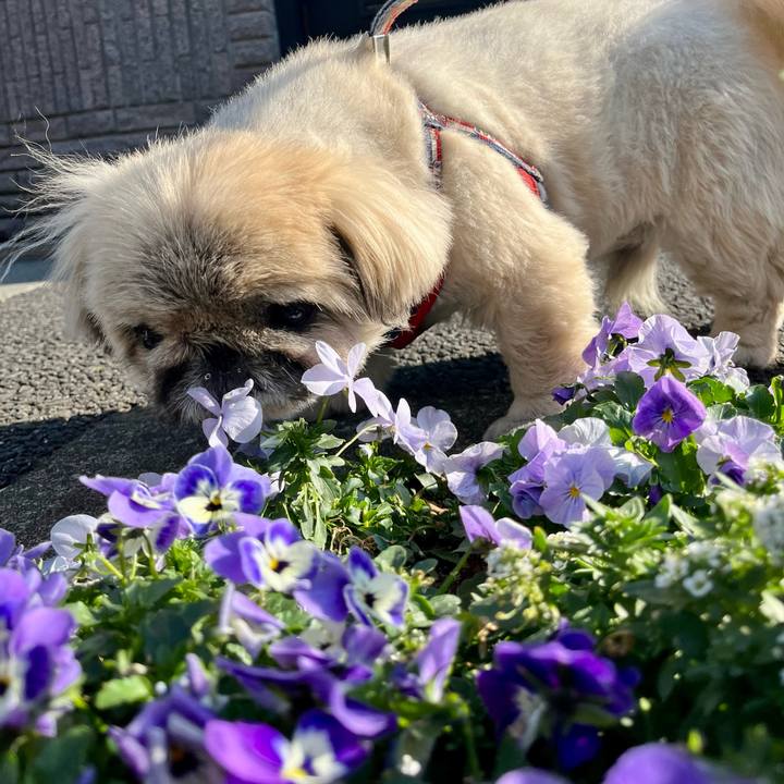 Be5d066d 0b4c 45a6 a9a9 3f9eb5eb2a0f 1742866468836