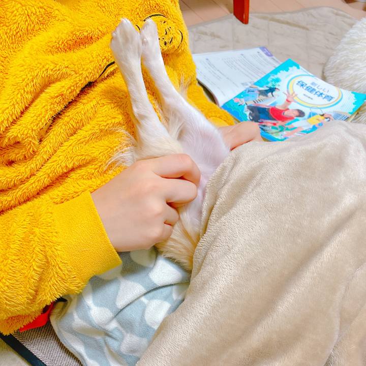 Be5d0c96 407f 455b 9ea3 4fcea9c65357 1638241345902