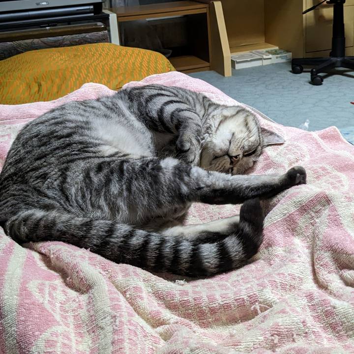 Be5d2371 9b6a 4a15 8e58 8092c073a620 1702570881085