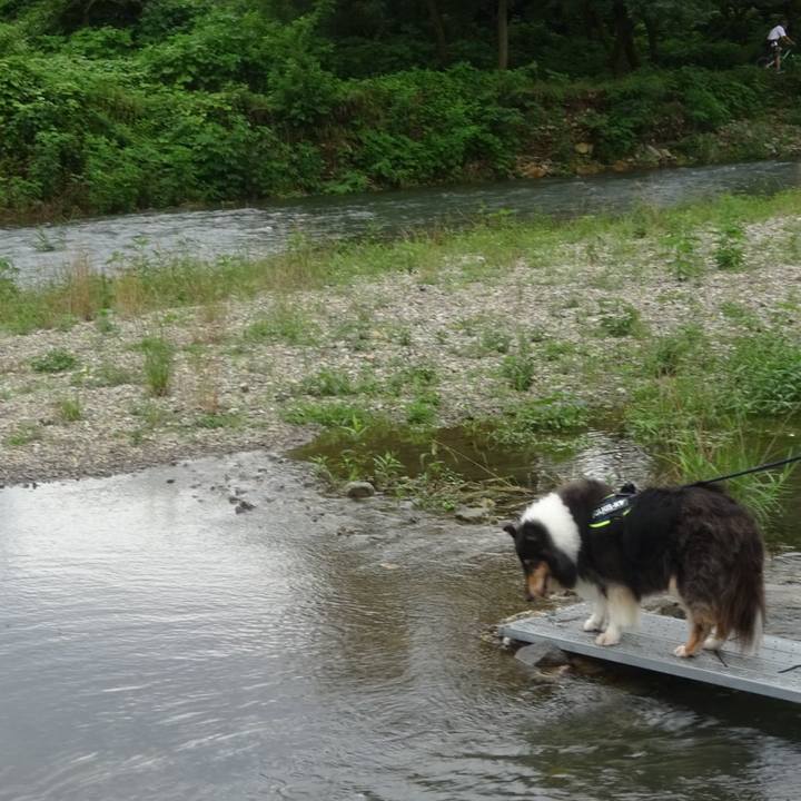 Be5d2c2f aff5 46a0 abf8 b61e211d9a59 1594212254882