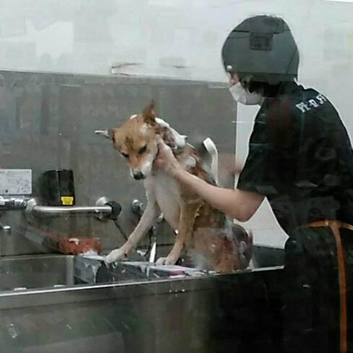 Be5d4165 9de7 4390 8949 9de07df0dd73 1537260759132