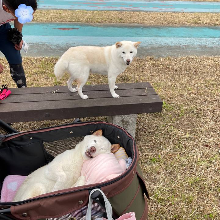 Be5d436e 1245 42f0 b095 ba3001453695 1654877306748