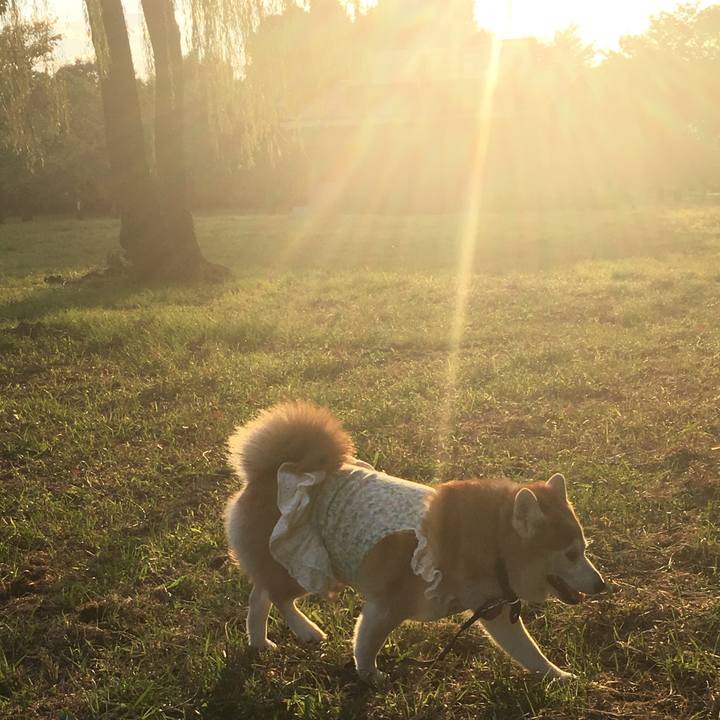 Be5d46bb 8d03 44b5 9204 8f839b6a816d 1539188611975