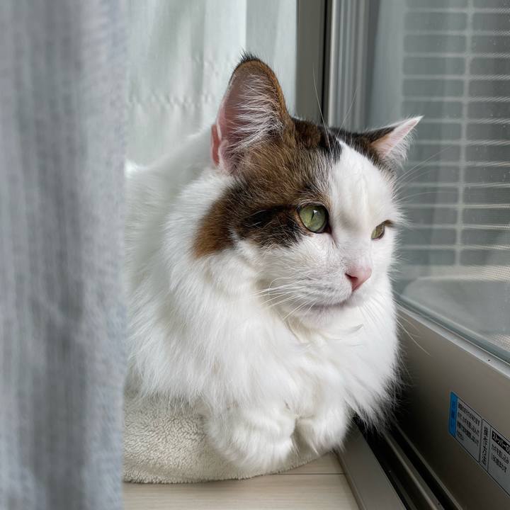 Be5d54f1 c93b 4fc7 8d36 f52109bda0b6 1769744462613