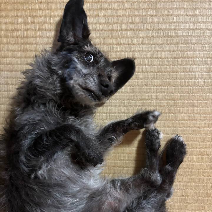 Be5d5892 fdb8 4d8d 922d 3ec73e1bcb20 1760916369762