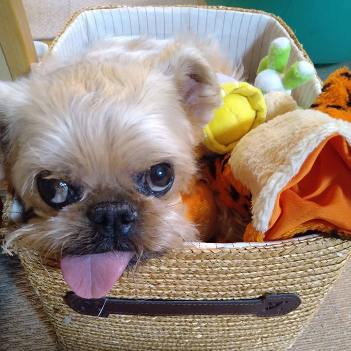 Be5da043 990b 470d b144 000288dba164 1652783794342