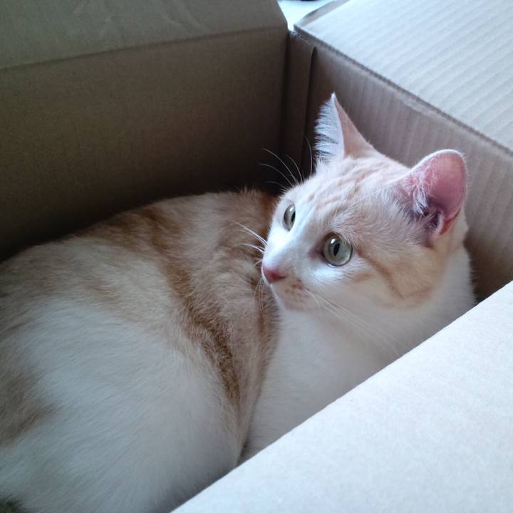 Be5e2e3c d635 4b10 8c45 00ccec9e05e9 1723499164475