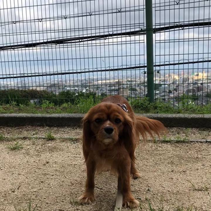 Be5e40d6 83a4 4fa9 a1a0 a12da203a49d 1559994867692