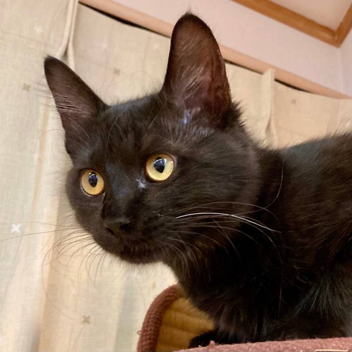 Be5e4784 aad0 4135 9e8a 9eb555401ee4 1706014915516