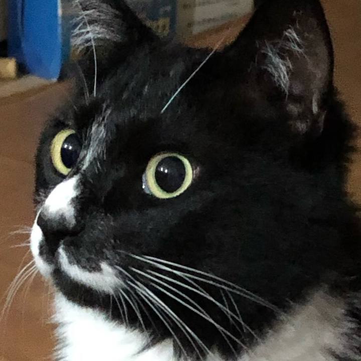 Be5e5c92 63e5 41aa 8a70 ecca1025818d 1660377166494