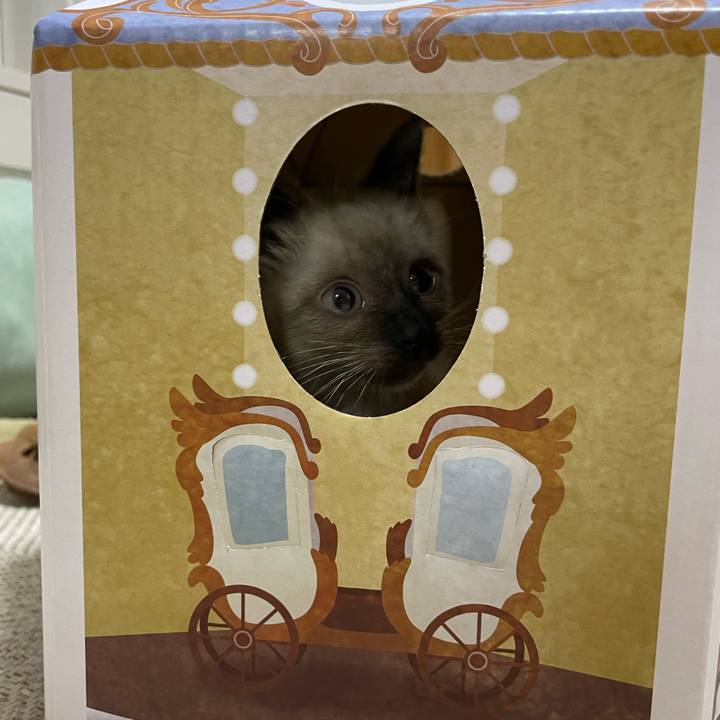 Be5ef36d 5652 449a 9d2a 16ac7d0c1dfe 1686833013025